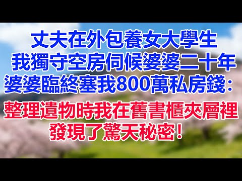 丈夫在外包養女大學生，我獨守空房伺候婆婆二十年。婆婆臨終塞我800萬私房錢： 整理遺物時，我在舊書櫃夾層裡，發現了驚天秘密！