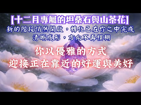 ✨【十二月專屬的坦桑石與山茶花】新的階段悄然開啟，轉化已在你之中完成｜清晰成形，方向不再模糊｜你以優雅的方式，迎接正在靠近的好運與美好 - 吸引力法則音樂