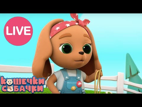 🔴 LIVE КОШЕЧКИ-СОБАЧКИ🐱 🐶  - Суперпремьера!  Все серии подряд! + Новые серии