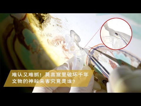 《敦煌师父》第二季 EP02 完整版丨难认又难抓！莫高窟里破坏千年文物的神秘来客究竟是谁？