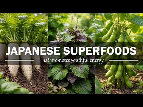 20 Japanese Superfoods That Keep You Young