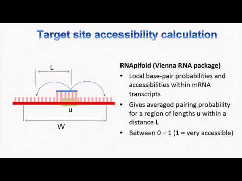 RISCy Business: Development of a RNAi design and off-ta...