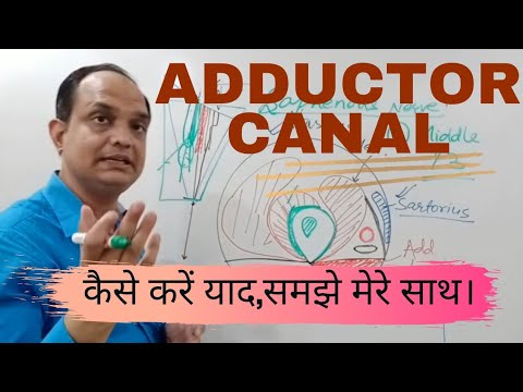 ADDUCTOR CANAL