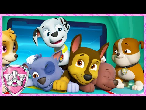 Funny Paw Patrol Moments! (Compilation) | Skye - Paw Patrol & Friends | Cartoons For Kids