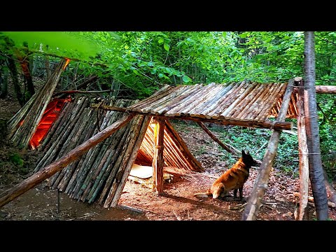 Solo Off-Grid Shelter Build + Campfire Cooking | Peaceful Forest Vibes