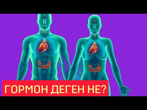 ГОРМОН ДЕГЕН НЕ? Ағзадағы гормондардың маңызы. Денсаулық арнасы. Денсаулық