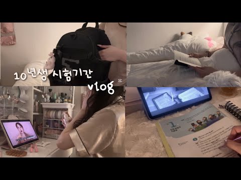 갓생으로 유명한 틱톡커가 시험기간을 보내는법