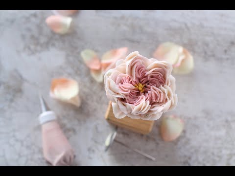 앙금플라워 줄리엣로즈 파이핑 (julietrose piping)