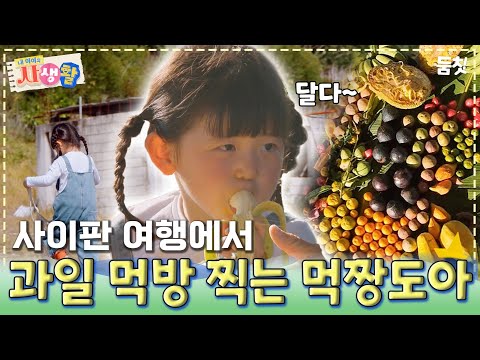 사이판 여행에서 과일 먹방 찍는 먹짱도아｜ [#내아이의사생활 EP.27] #둠칫