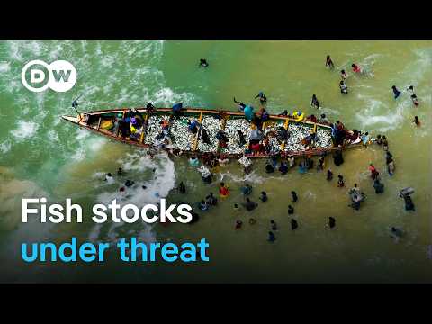 Raid on the Atlantic - Overfishing and exploitation of the sea | DW Documentary