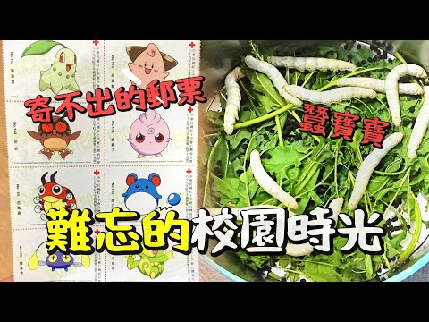 那些難忘的校園回憶,世界嘗試改變,當初的那個少年〃拔辣