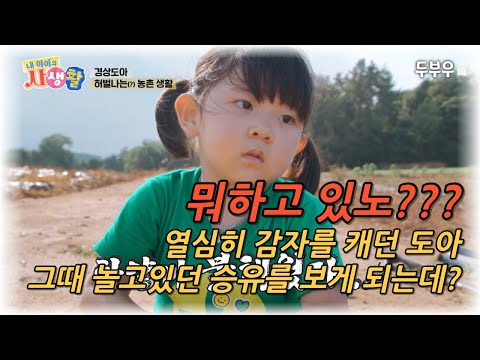 My Child's Private Life Episode 33 (Part 3): What are you doing? Do-ah, who was diligently diggin...