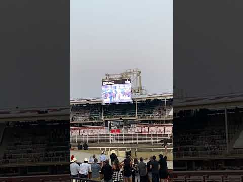 Calgary Stampede 2021