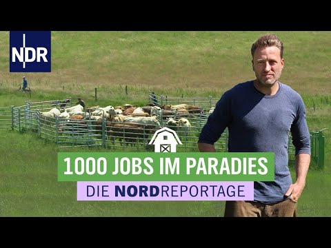 Neues vom Inselbauern - Zwischen Boot, Trecker und Tresen | Die Nordreportage | NDR
