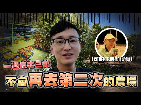 [2022]澳洲打工度假：可怕的芒果🥭農場｜一週穩定賺三萬台幣？！| 我不可能再去第二次的農場！？🥹|蜘蛛🕷️螞蟻🐜蟑螂🪳昆蟲樣樣齊全🤮｜Working in Australia 🇦🇺