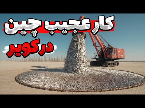 چینی ها 100 هزار ماهی رو تو بیابون ریختن... 5 سال بعد اتفاقی که رخ داد جهان رو شوکه کرد.