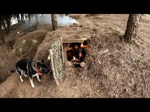 Underground Survival Shelter in Pine Forest – Hidden Bushcraft Hideout & Cozy Overnight