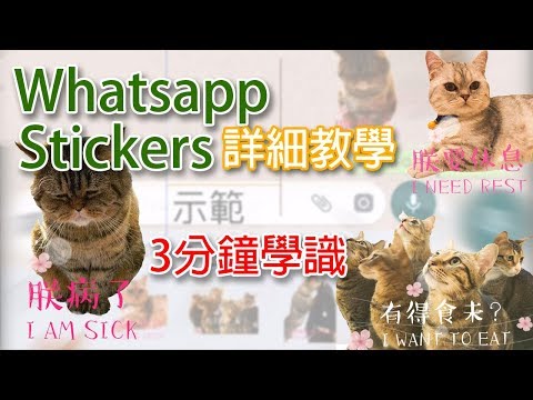 [3分鐘學會] Whatsapp Sticker 詳細教學(本片原有195 likes)