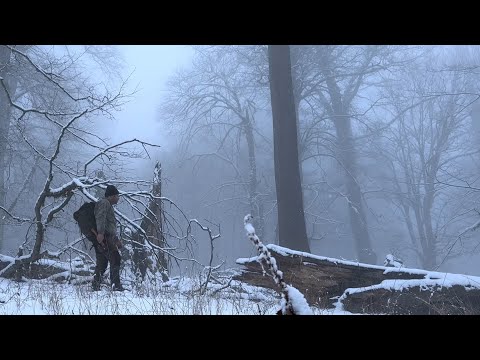 Surviving a Freezing Night in the Wild Forest: Bushcraft Camping at -11°C Without Sleeping Bag