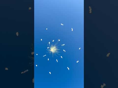 INSANE Daylight Firework Shell Timed Report Spiral W Bottom Shot #Fireworks #Firework #Pyro #Shorts