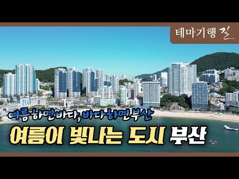 [테마기행 길] 여름이 빛나는 도시 부산 ㅣMBC충북ㅣ250822