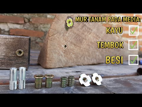 Get to know the types of planting nuts on iron, wood and walls