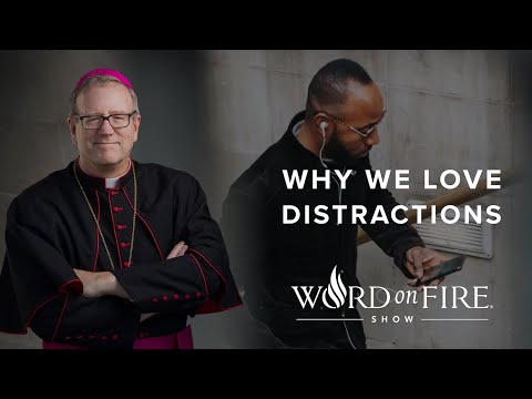 Why We Love Distractions