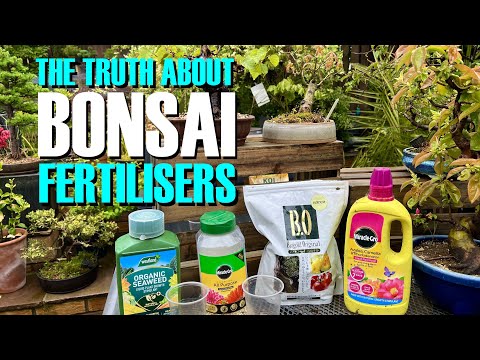 The Truth About Bonsai Fertilisers