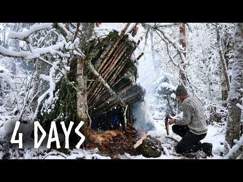 4 Days in Freezing Winter - Building a Primitive Bushcraft Shelter