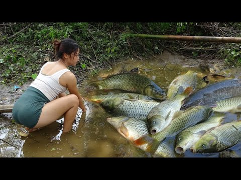 Full Videos: Interesting Fishing in River and Lakes | Fishing Techniques Catching a Lots of Fish