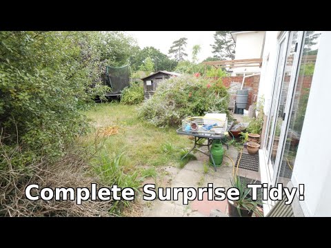 Surprising a Family With a Garden After a Heartbreaking Year (Don't Miss Reaction At The End)
