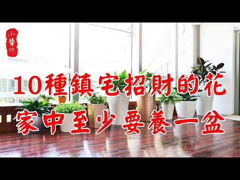 【植物風水】風水師提醒,這10種花能招財鎮宅,家中一定要養一盆