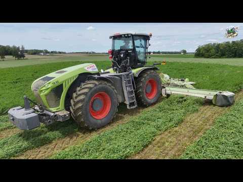 Mowing, Merging & Chopping 1st crop Alfalfa at Union Go Dairy