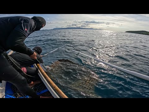 Wala Talagang Sablay Pag Ganito Kalalaking Trap