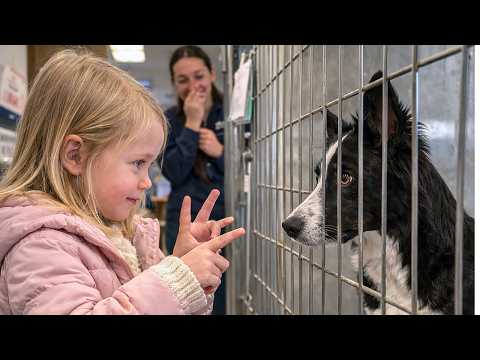 A Girl Who Couldn't Speak Looked at This Adopted Dog...What Happened Next Left Everyone Speechless 💔