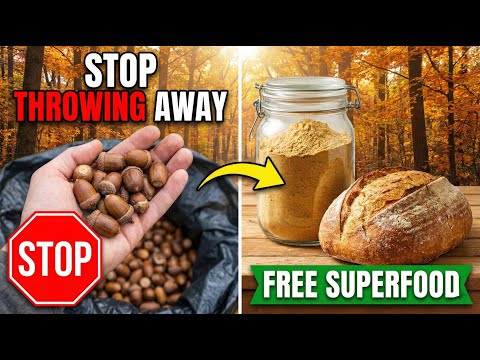 Why You Should Stop Throwing Away Acorns (The Lost Superfood)