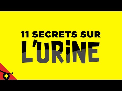 Oui, tu vas apprendre des choses sur l'urine.