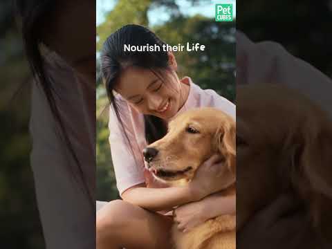 Nourish Their Play, Love, Life