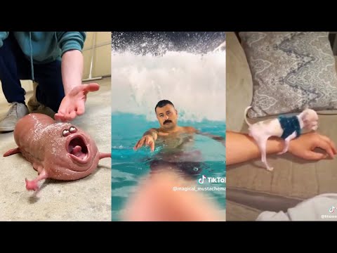 Random videos I watch at 2 a.m. #1