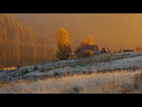 a playlist to romanticize quiet winter days