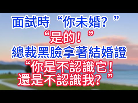 面試時“你未婚？”“是的！”總裁黑臉拿著結婚證“你是不認識它，還是不認識我？”#故事#言情小說#一口氣看完#爽文