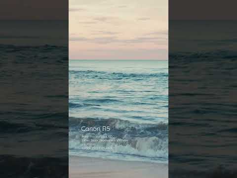 Cinematic Sunset Footage with the Canon R5 #filmmaking #canonr5 #shorts