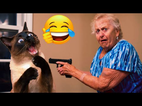  The FUNNY Pets of 2025 | Non-Stop Laughter Challenge!