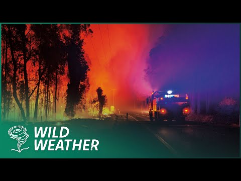 The Devastating Impact Of Australia's Wildfires | Hellfire: The Battle For Cobargo