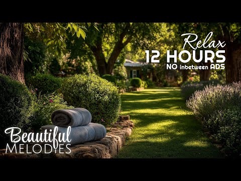 Relaxation Music for Stress Relief 🌿 Spa Treatment Music & Tranquil Spa Sounds