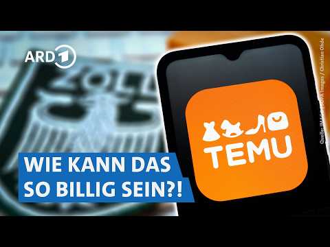 Temu: So nutzt die Plattform Steuerlücken und Zoll-Schlupflöcher aus | Plusminus SWR