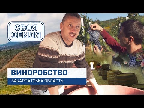 Своя земля. Винороби Закарпаття