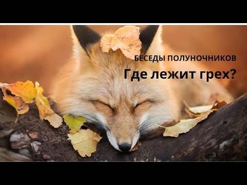 Беседы полуночников. Где лежит грех?