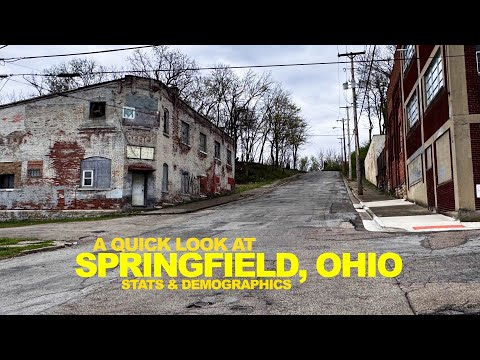 Missing Dogs & Cats? This Is Who Springfield OHIO Voted For - What I Saw (With Stats)