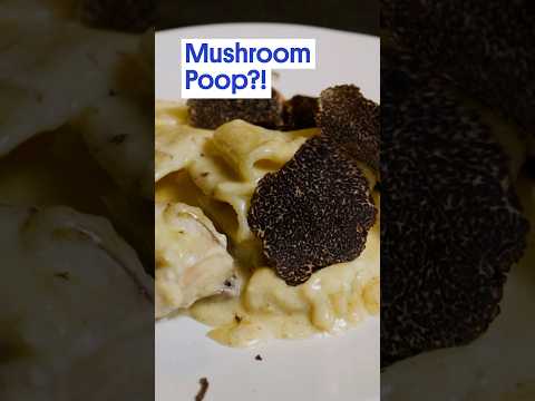 The Dirty Truth About Truffles